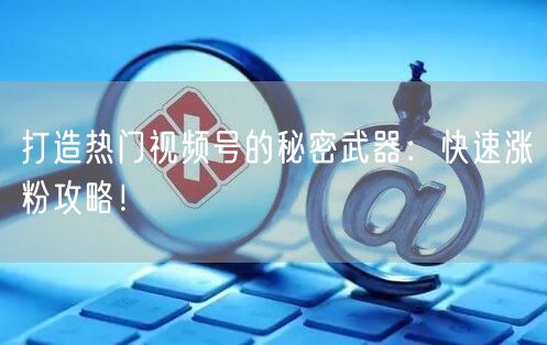 打造热门视频号的秘密武器:快速涨粉攻略!