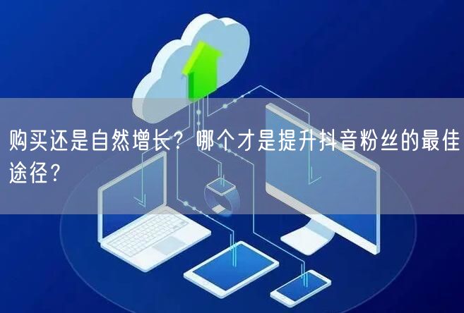 购买还是自然增长?哪个才是提升抖音粉丝的最佳途径?