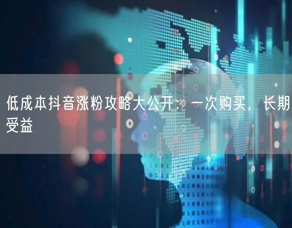 低成本抖音涨粉攻略大公开：一次购买，长期受益