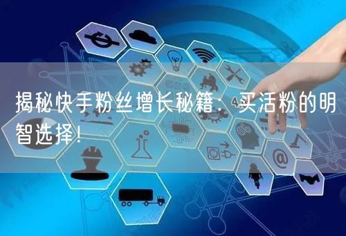 揭秘快手粉丝增长秘籍:买活粉的明智选择!
