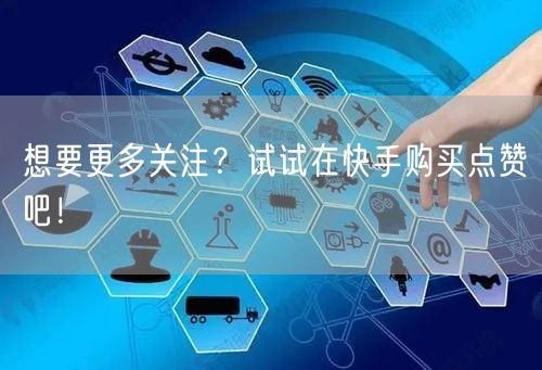 想要更多关注?试试在快手购买点赞吧!