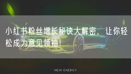 小红书粉丝增长秘诀大解密,让你轻松成为意见领袖!