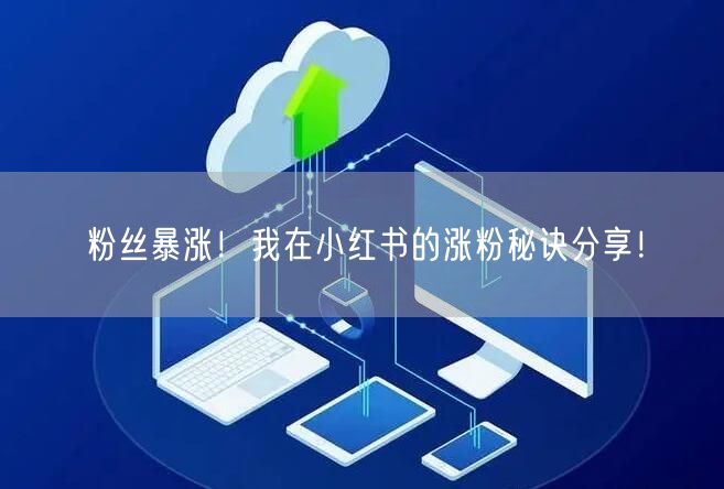 粉丝暴涨!我在小红书的涨粉秘诀分享!