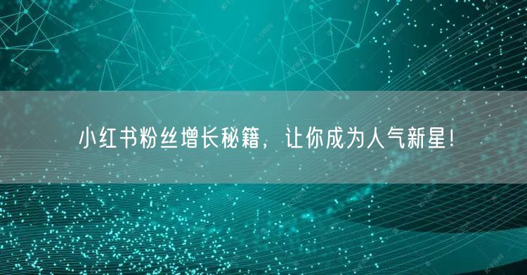 小红书粉丝增长秘籍,让你成为人气新星!