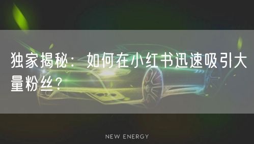 独家揭秘:如何在小红书迅速吸引大量粉丝?