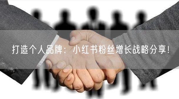 打造个人品牌:小红书粉丝增长战略分享!