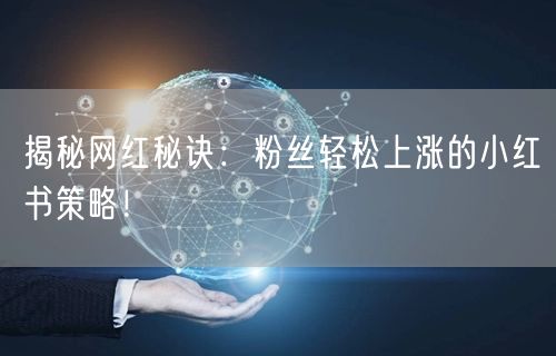 揭秘网红秘诀:粉丝轻松上涨的小红书策略!