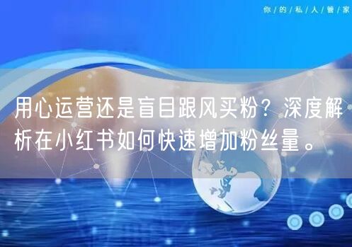 用心运营还是盲目跟风买粉?深度解析在小红书如何快速增加粉丝量。